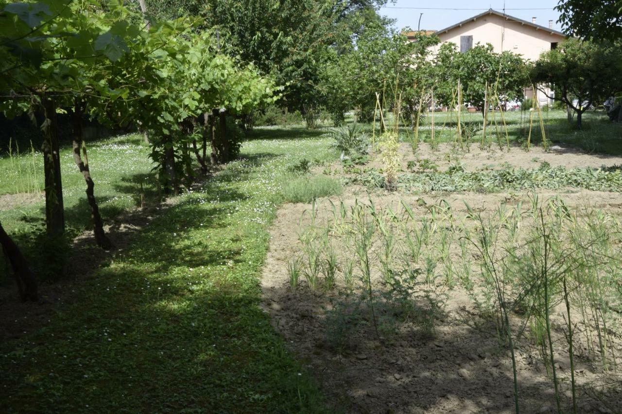 Capannone111 Bed & Breakfast Castiglione di Ravenna Bagian luar foto